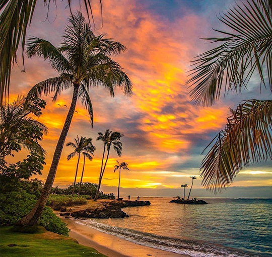 Beach with palm trees at sunset