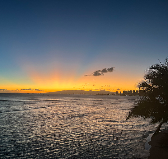 Sunset over the ocean with palm trees in foreground
