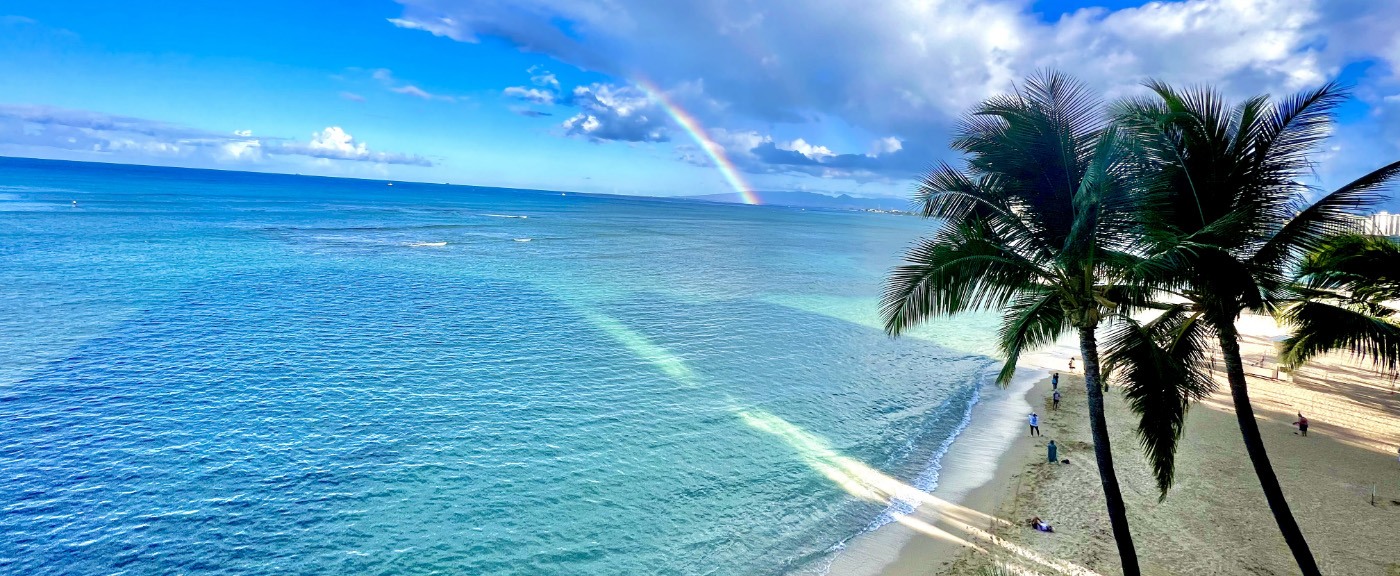 Aerial view of beach with palm trees and rainbow in background